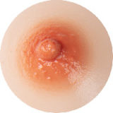DOM Doll silicone heads collection page( Head Only)