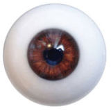 DOM DOLL D6 head 148cm/4ft9 C-cup love doll head and body material selectable