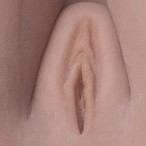 WM Doll TPE Material Sex Doll 163cm/5ft4 D-Cup with Head #452