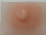 PiperDoll Full Silicone Sex Doll AIO 150cm B-cup Akira Seamless
