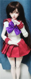 Mini doll sexable 60cm/2ft normal breast silicone S7 head Gina costume selectable