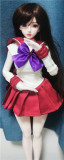 Mini doll Full Silicone 60cm/2ft big breast silicone S10 Shirley head body costume sexable