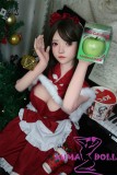 SHEDOLL Lolita type 148cm/4ft9 normal breast Luoyi head love doll body material customizable