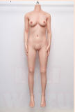 MLW Doll Silicone Sex Doll Body Collection Page (Silicone Body Only)