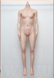 MLW Doll Silicone Sex Doll Body Collection Page (Silicone Body Only)