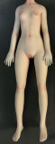 Mini doll sexable AiLi head 60cm/2ft normal breast silicone costume selectable