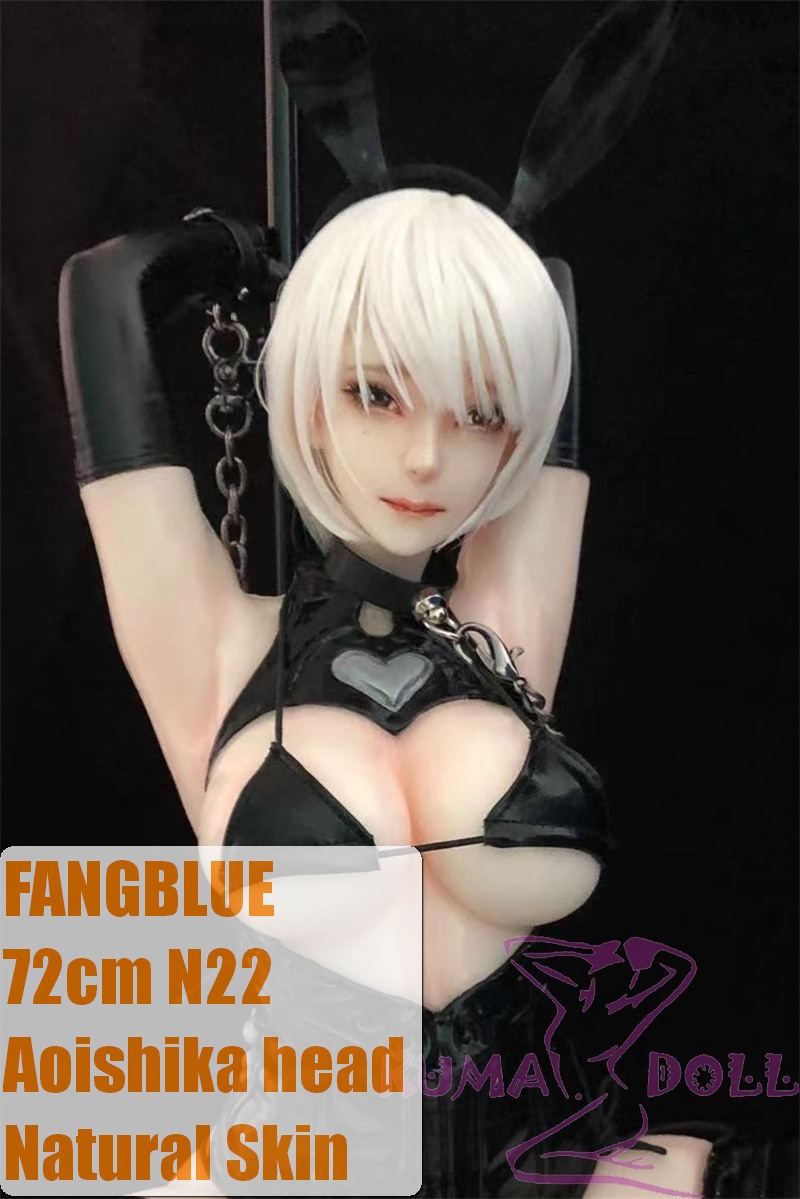 Mini doll 72cm/2ft4 N22 Aoishika head High-grade Silicone Material Sexable body with light weight 3.5kg Head Selectable