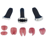 Teeth B