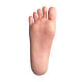 3.hard feet(only available for silicone body)