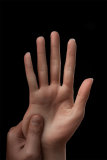 ZELEX Silicone Doll 165cm(5.41 ft) E-cup Full Size Lifelike Sex Doll with #GE81 Head