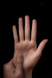 ZELEX Full silicone sex doll 170cm C-cup #GE139-1 head