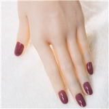 Full silicone love doll Top Sino Doll new 160cm H-cup T21 Mikui (Aoi Yone) RRS make-up selectable