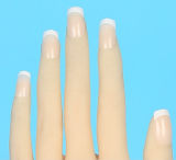 In Stock WM Doll TPE Material Sex Doll(USA)