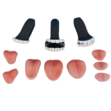 In Stock WM Doll TPE Material Sex Doll(USA)