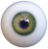 Butterfly Doll TPE Love Doll 100cm seamless Iris head AIO