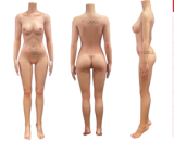 FUDOLL Customization Page Head and Body Freely Combinable Love Doll Life-size Doll