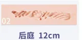 LACE DOLL 163cm H-cup Summer Head Sex Doll Body Material Customizable
