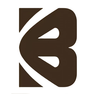 BCDOLL logo