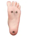 FUDOLL Full Silicone love doll 161cm D-cup #36 head