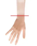 【2025.6.1-6.10】Sino Doll Soft-Max 70cm Torso Silicone Sex Doll 10% off+ free options