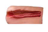 【2025.6.1-6.10】Sino Doll Soft-Max 80cm Torso Silicone Sex Doll 10% off+ free options