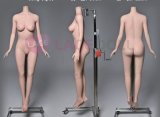 LACE DOLL 163cm H-cup 晚冰(Wanbing) Head Sex Doll Body Material Customizable with Red Hair in Black Bodysuit