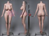 LACE DOLL 163cm H-cup 暮雪(Muxue) Head Sex Doll Body Material Customizable in Leopard Print Dress