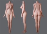 LACE DOLL 170cm E-cup 暮雪(Muxue) Head Sex Doll Body Material Customizable with Katana – Warrior-Inspired Beauty