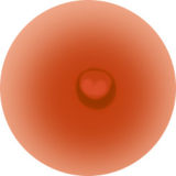 Game Lady Full silicone 165cm G-cup No.28-1 Shiranui Mai from King of Fighters Head with realistic makeup, eyebrows and eyelashes implanted