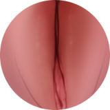 Game Lady Full silicone 165cm G-cup No.28-1 Shiranui Mai from King of Fighters Head with realistic makeup, eyebrows and eyelashes implanted