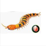 FEICHAO Creepy-Crawly Remote Control Centipede / Giant RC Scolopendra Novelty Toy Gift