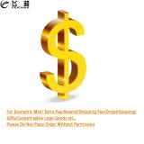 Economic Mail Extra Pay/Resend/Shipping Fee/Dropshipping/ Customizable Logo Goods - Pls Do Not Place Order Without Permission