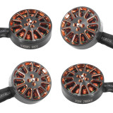 4S 2004 2900KV Brushless Motor, 1.5mm Shaft Bearings 12N14P Motor RC for 2.5-5inch Compatible with Dutcted DIY RC Racing Drone