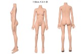 AXB Doll ラブドール #121 ヘッド ボディ選択可能 組み合わせ自由 TPE製