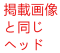 掲載画像と同じ蝶ヘッド（職人メイクの動物顔）