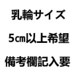 My Loli Waifu フルシリコン製  新発売 138cm AAカップ  Sana頭部 メイク選択可能