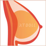 XTDOLL ラブドール 150cm Dカップ Lilyヘッド  宣伝画像フルシリコンドール 等身大リアルラブドール