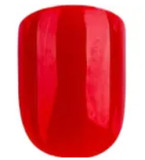 XTDOLL ラブドール 164cm Cカップ  Rosaireヘッド  宣伝画像フルシリコンドール 等身大リアルラブドール