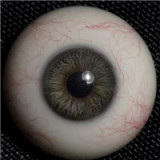 ZELEX ラブドール 165cm Fカップ #GE139_1ヘッド  シリコン製