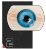 Doll senior 148cm Cカップ #22 弥耶（Miye）シリコンヘッド TPE材質ボディー 材質選択可能 ダッチワイフ 掲載画像はフルシリコン製 植毛タイプ