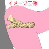 アート技研(Art-doll) フルシリコン製ラブドール 161cm Fカップ 26kg Yaoji ヘッド M16ジョイント汎用版