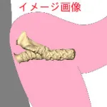 アート技研(Art-doll)  A17幸也 ヘッド 165cm Eカップ フルシリコン製ラブドール M16ジョイント汎用版 体操服セット着用