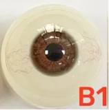 フルシリコン製 My Loli Waifu 略称MLW ロリ系ラブドール 127cm Aカップ Ayaヘッド メイク選択可能 花精霊