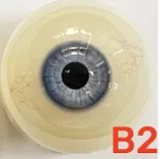 フルシリコン製 My Loli Waifu 略称MLW ロリ系ラブドール 127cm Aカップ Ayaヘッド メイク選択可能 花精霊