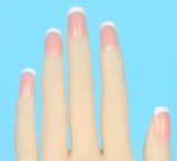 WM Doll アニメドール 146cm Mini ヘッドY008 ソフトビニール製ヘッド+TPE製ボディ