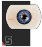 Doll Senior 新作！！#24舞雪（wuxue）ヘッド 成熟御姐系ラブドール 165cm  Bカップ 宣材写真のはフルシリコン ラブドール