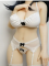 有料衣装