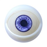 MDDOLL 166(B)cm Eカップ M18ヘッド シリコン製ラブドール 緑色のクロップドトップと黒いスキニーパンツ