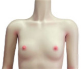 FUDOLL 169cm Hカップ 艾莉塔ヘッド エルフ ラブドール 緑透けロングドレスの妖艶ドール