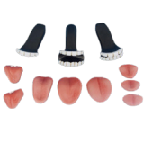 WM DOLL 160cm Aカップ LS#2ヘッド シリコンヘッド＋TPEボディ 黒色タンクトップとタイトスカートのセクシー欧美ラブドール